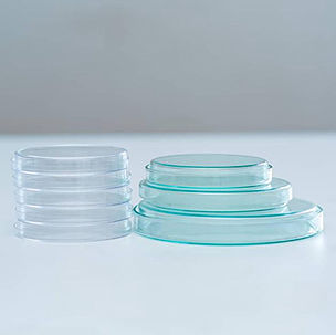 Lynch Medical Services LTD