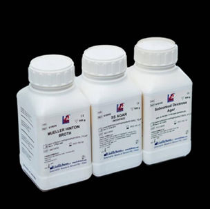 Lynch Medical Services LTD