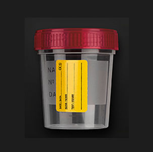 Lynch Medical Services LTD